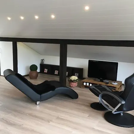 Exklusive Ferienwohnung, 85qm Apartment Bad Säckingen